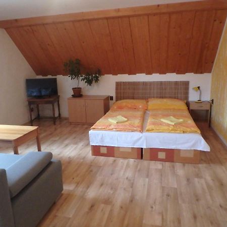 Apartments Vecernik Rokytnice Rokytnice nad Jizerou Dış mekan fotoğraf