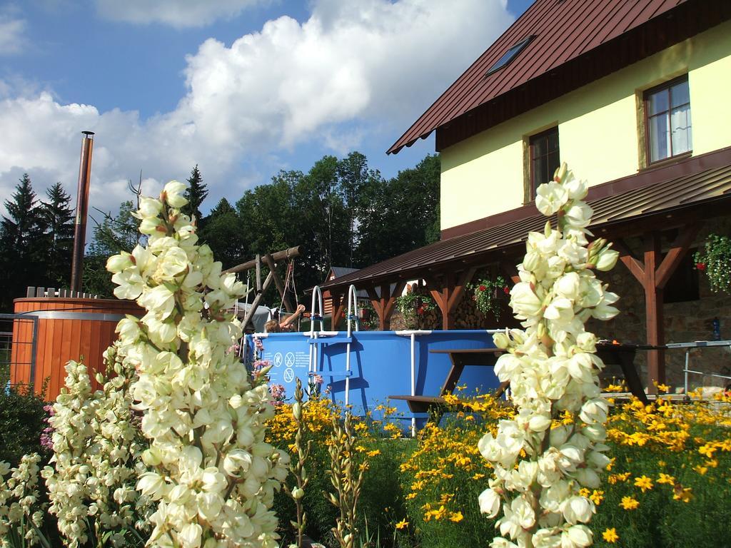 Apartments Vecernik Rokytnice Rokytnice nad Jizerou Dış mekan fotoğraf