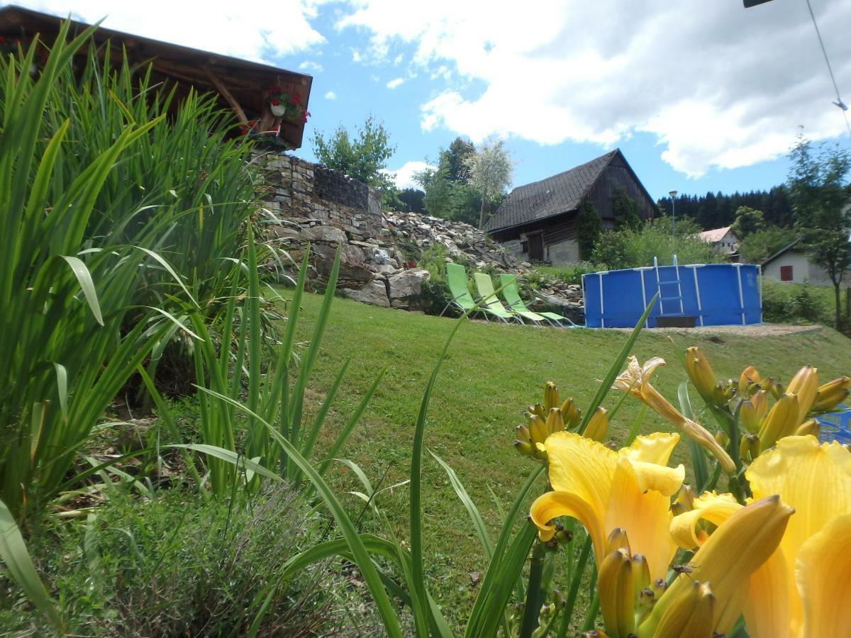 Apartments Vecernik Rokytnice Rokytnice nad Jizerou Dış mekan fotoğraf