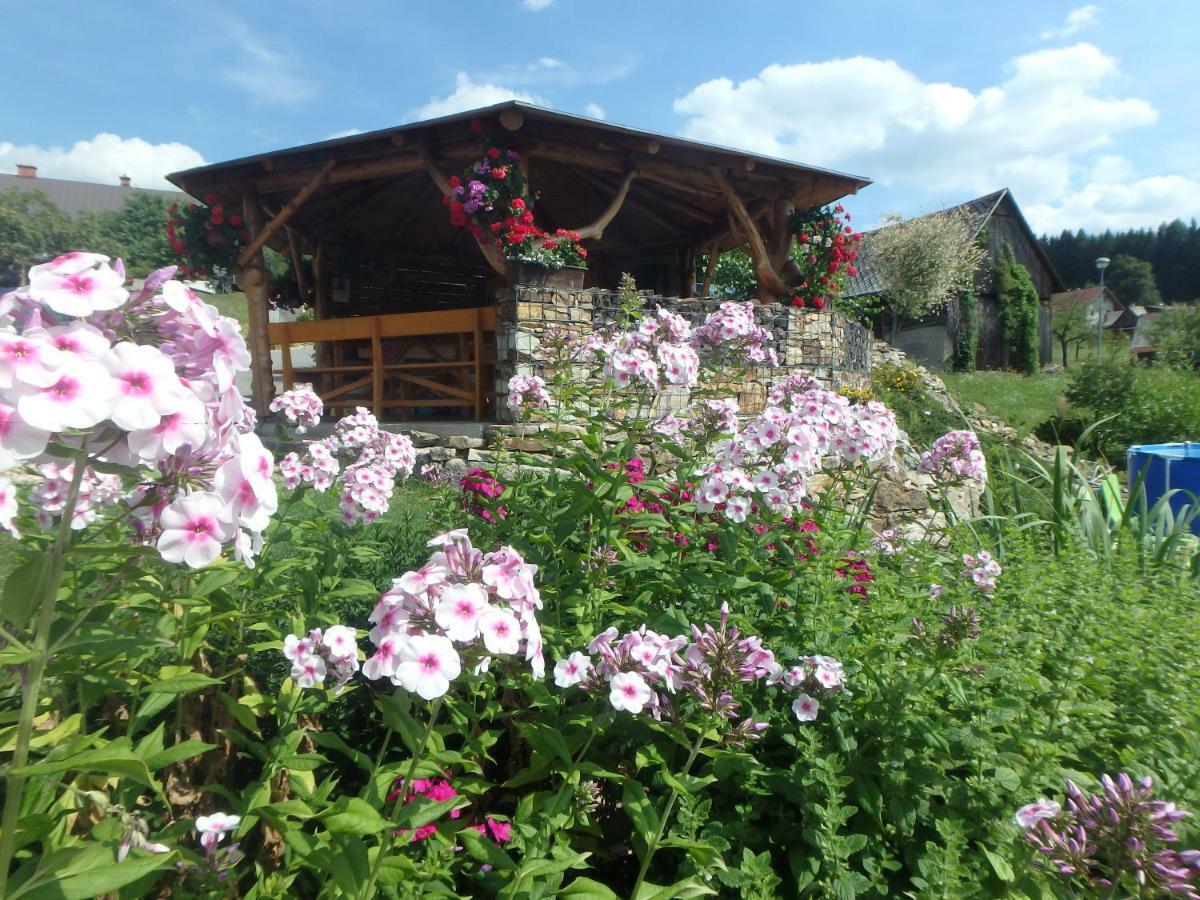 Apartments Vecernik Rokytnice Rokytnice nad Jizerou Dış mekan fotoğraf