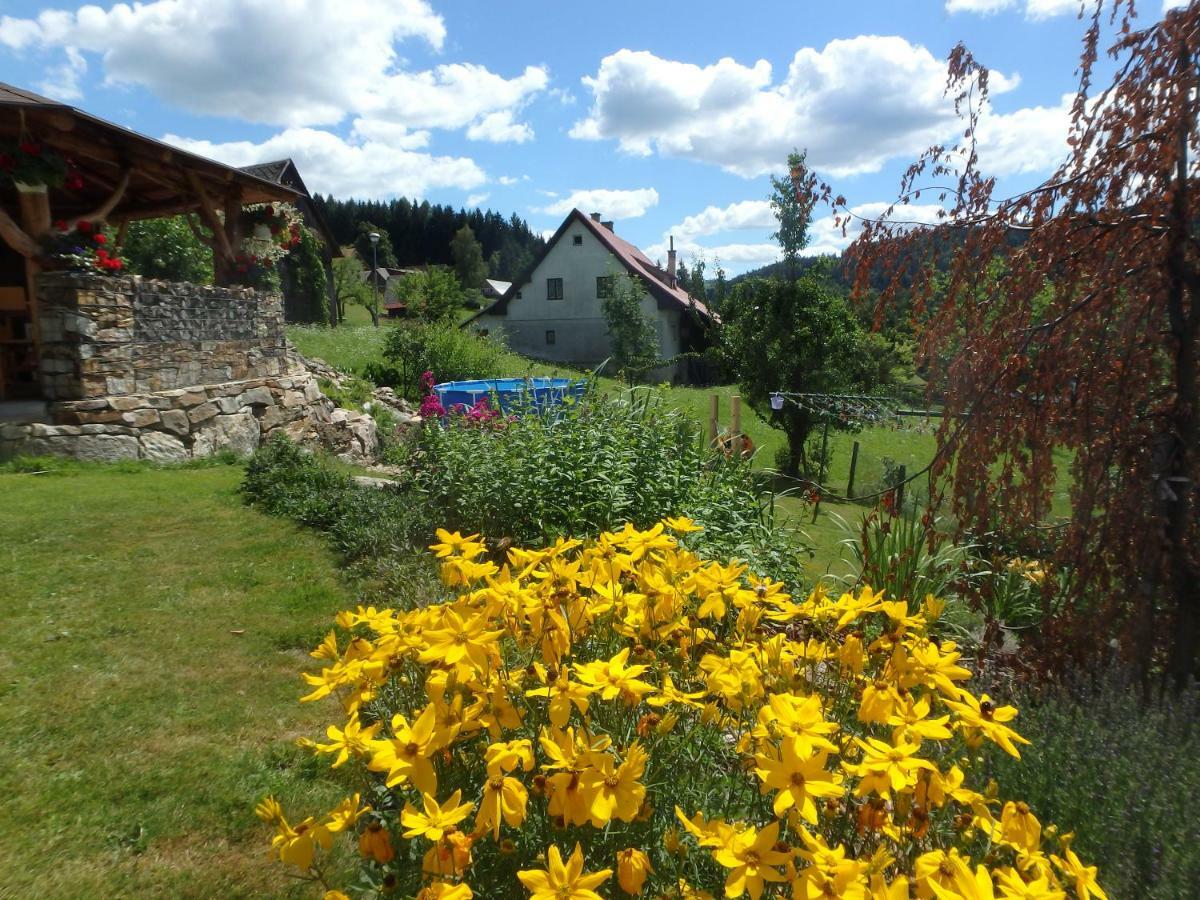 Apartments Vecernik Rokytnice Rokytnice nad Jizerou Dış mekan fotoğraf