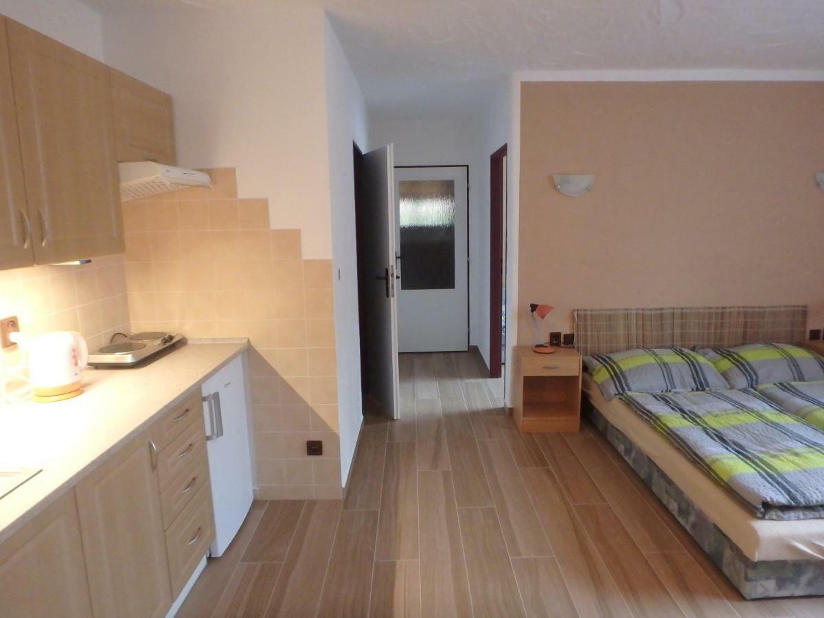 Apartments Vecernik Rokytnice Rokytnice nad Jizerou Dış mekan fotoğraf